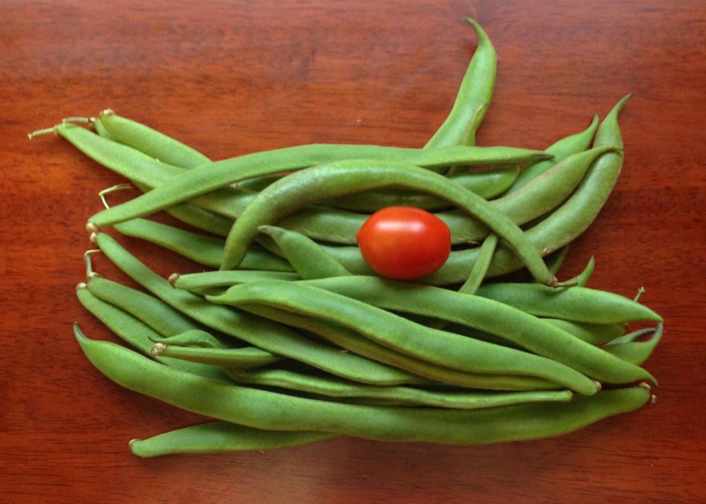 30/7/16 Harvest