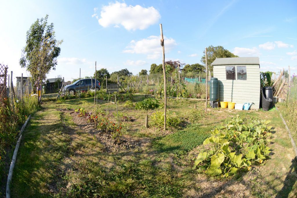 30/8/16 - Braeburn corner