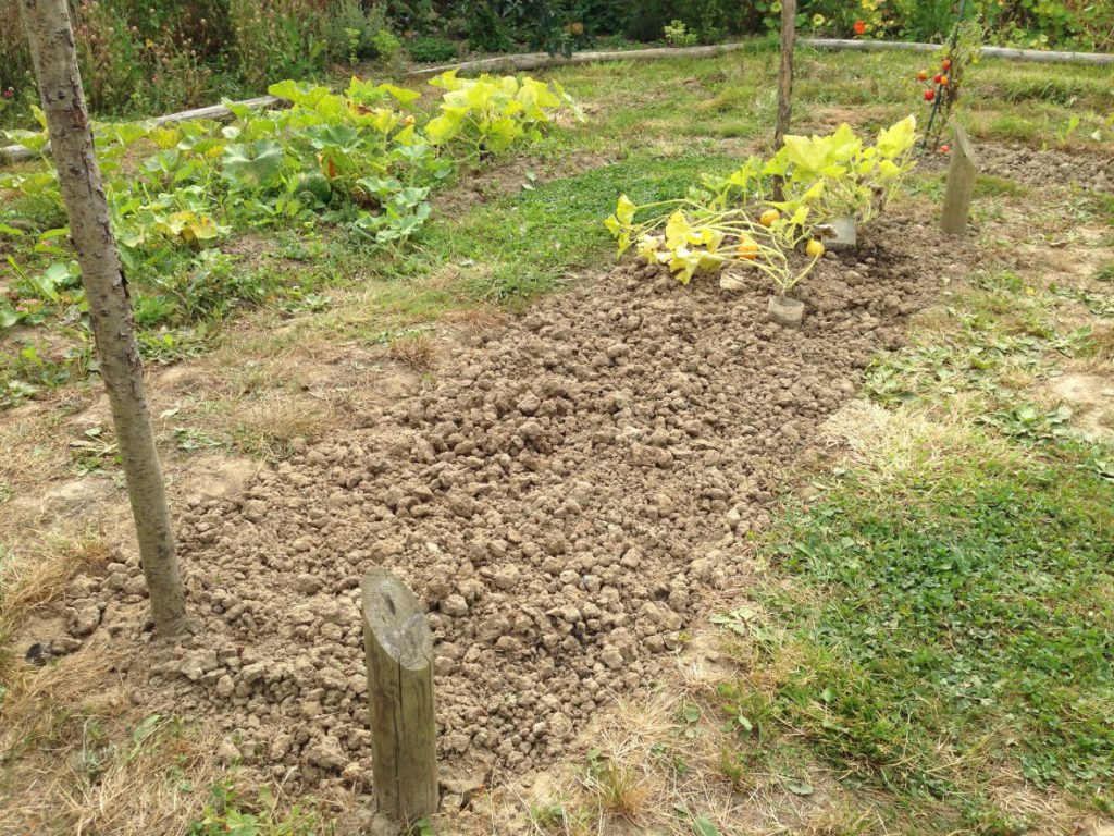 Ornamental weeding