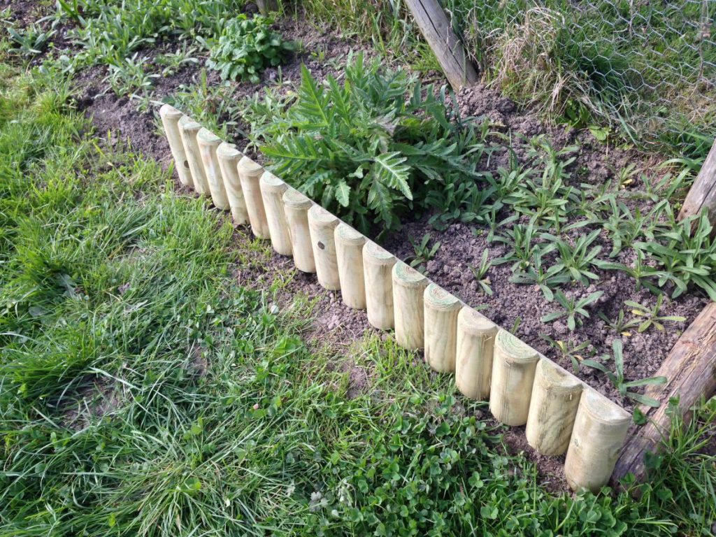 Border started