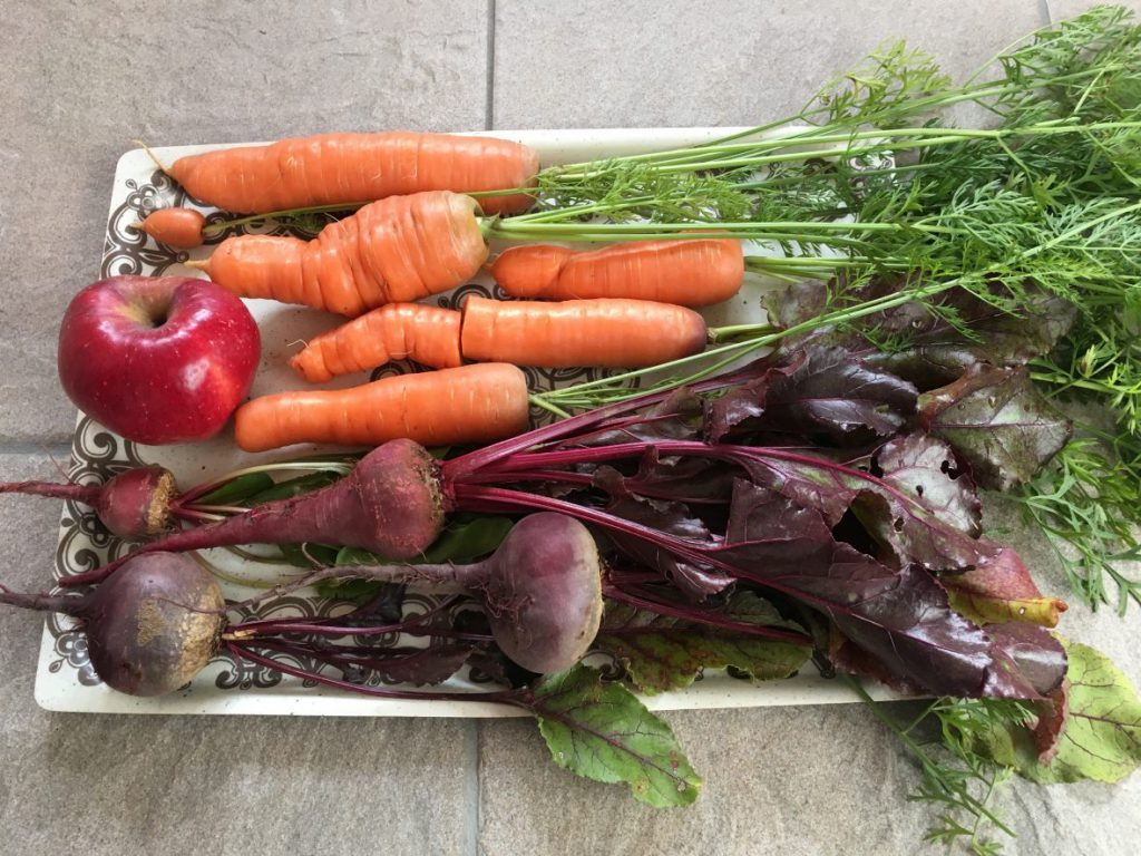 Harvest 6/10/17