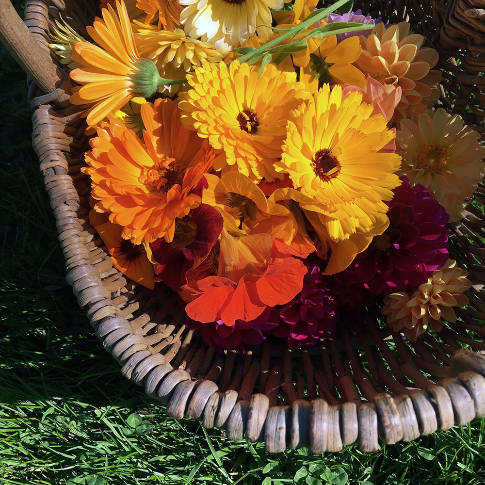 Flower harvest