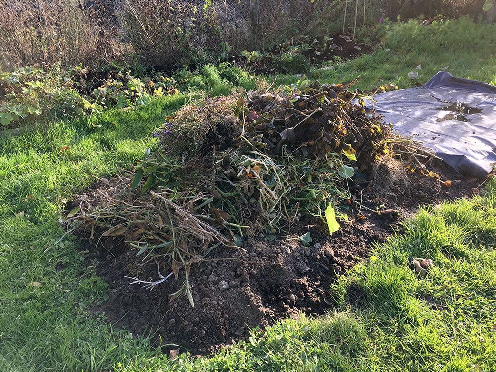 Compost heap