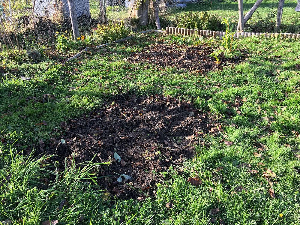 Flowers gone