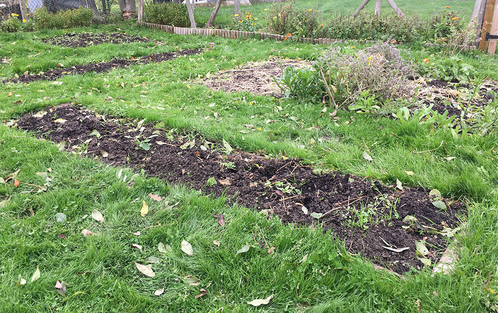 Yin yang beans gone