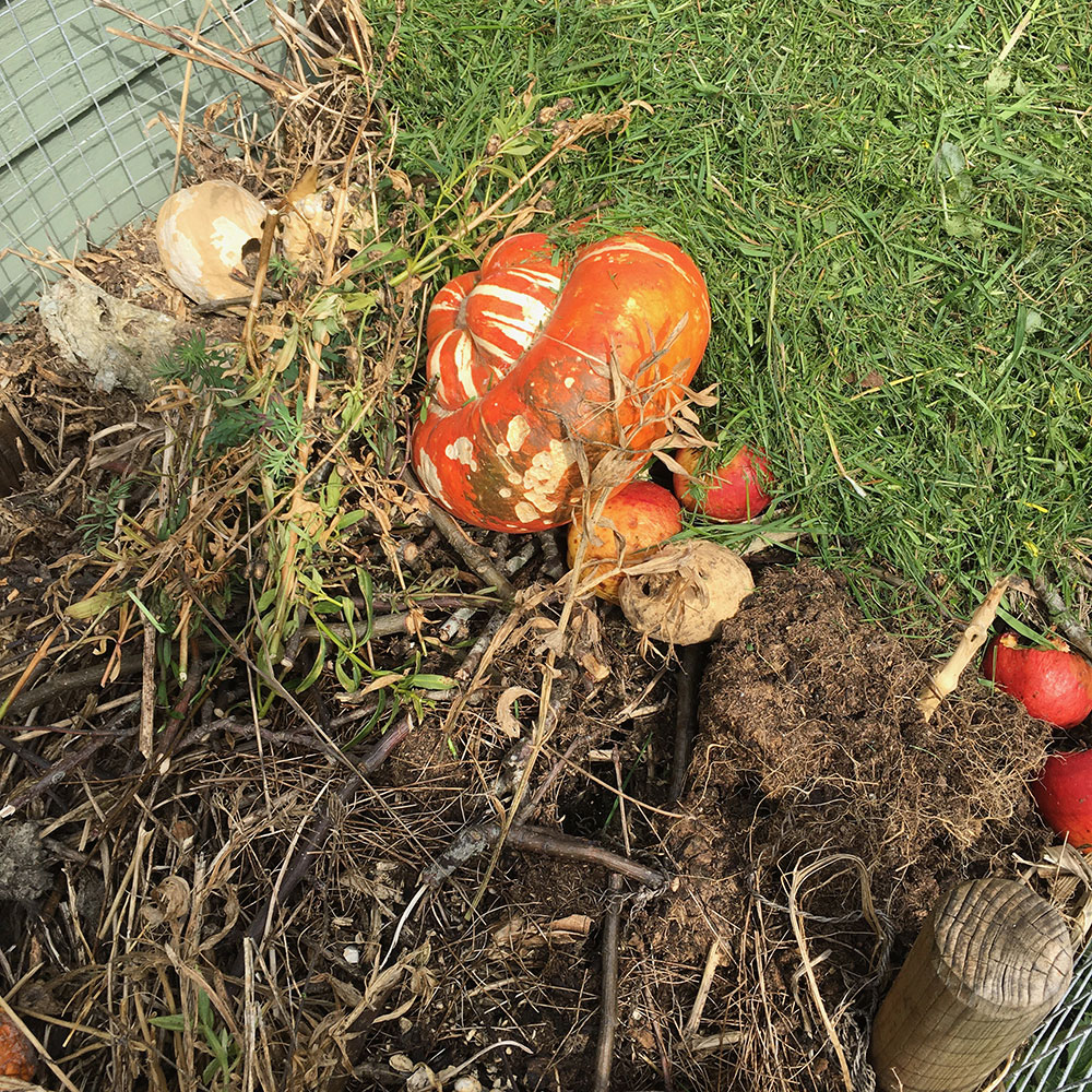 Compost