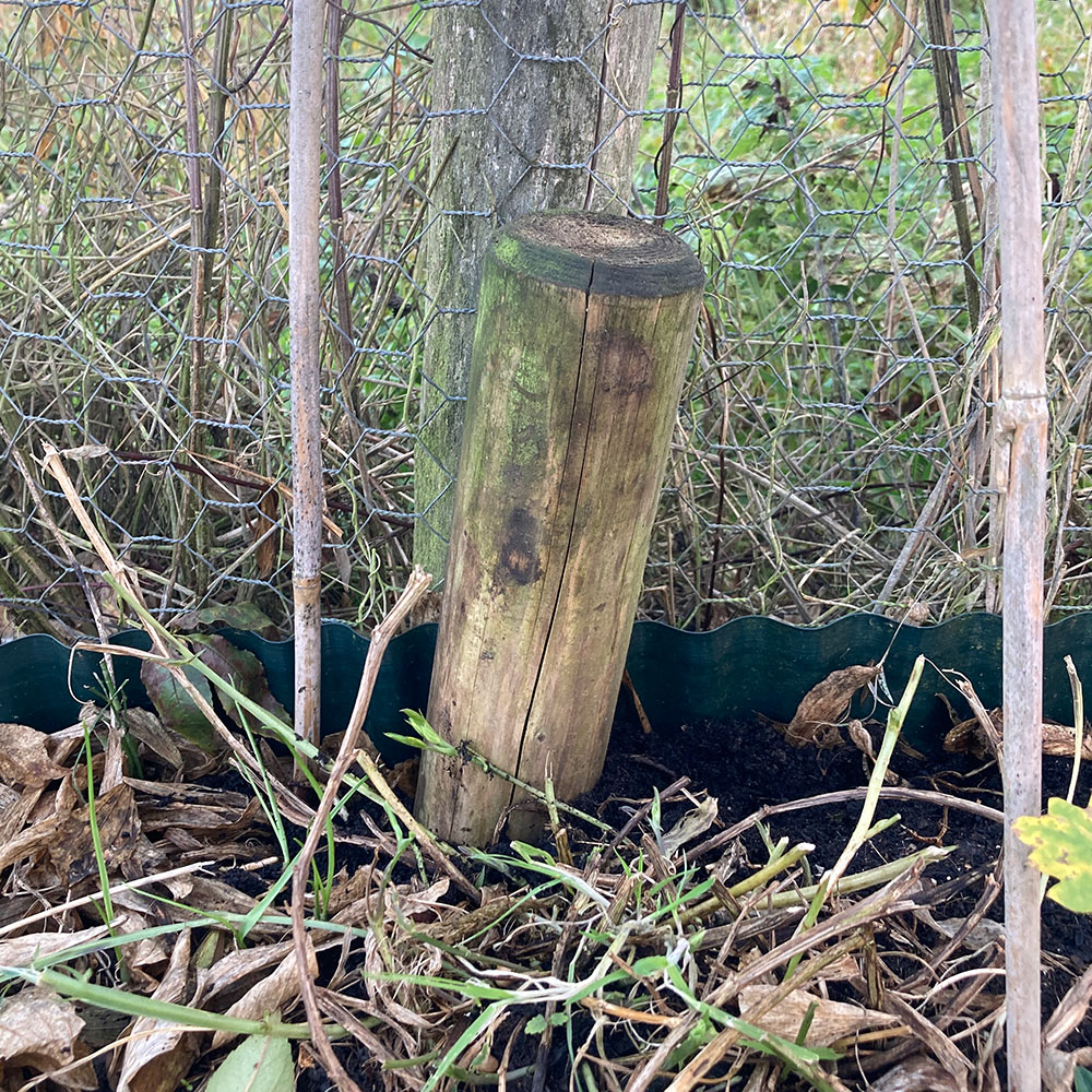 Staking the fence
